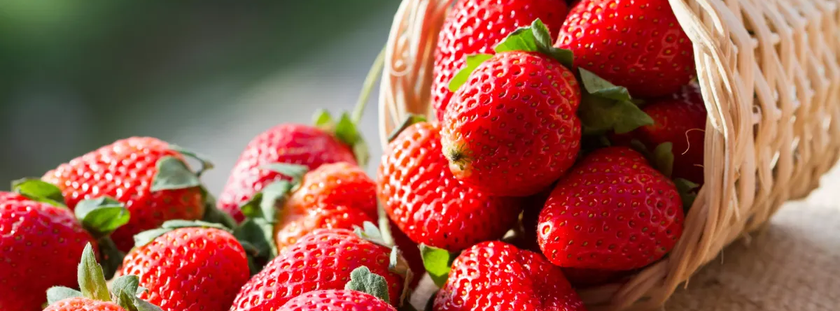 Image d'un panier de fraises renversé